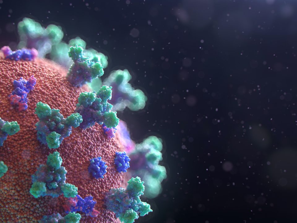 Visualization of the Coronavirus