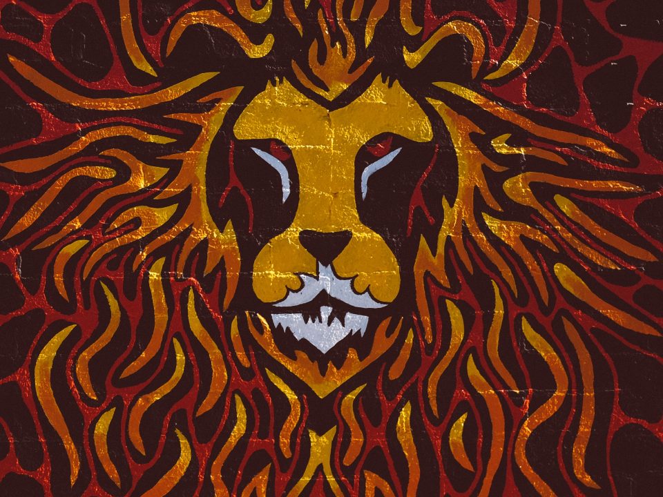 brown and red lion painting