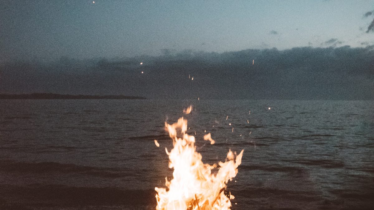bonfire near seashore during nighttime