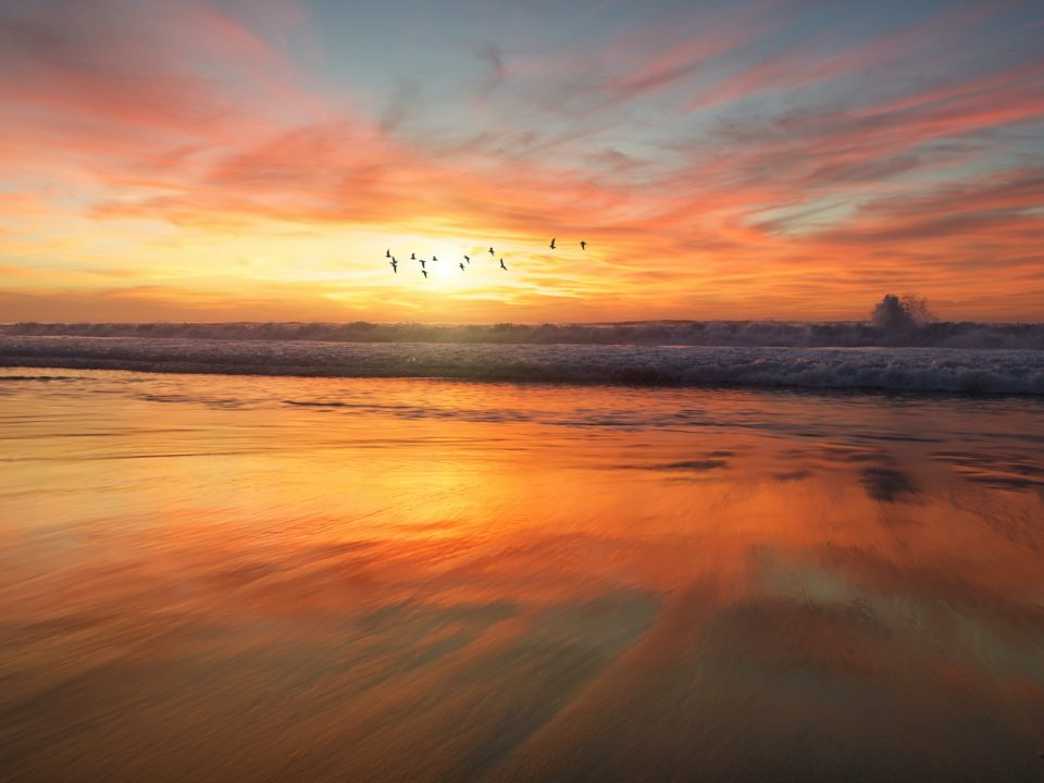 shoreline during golden hour