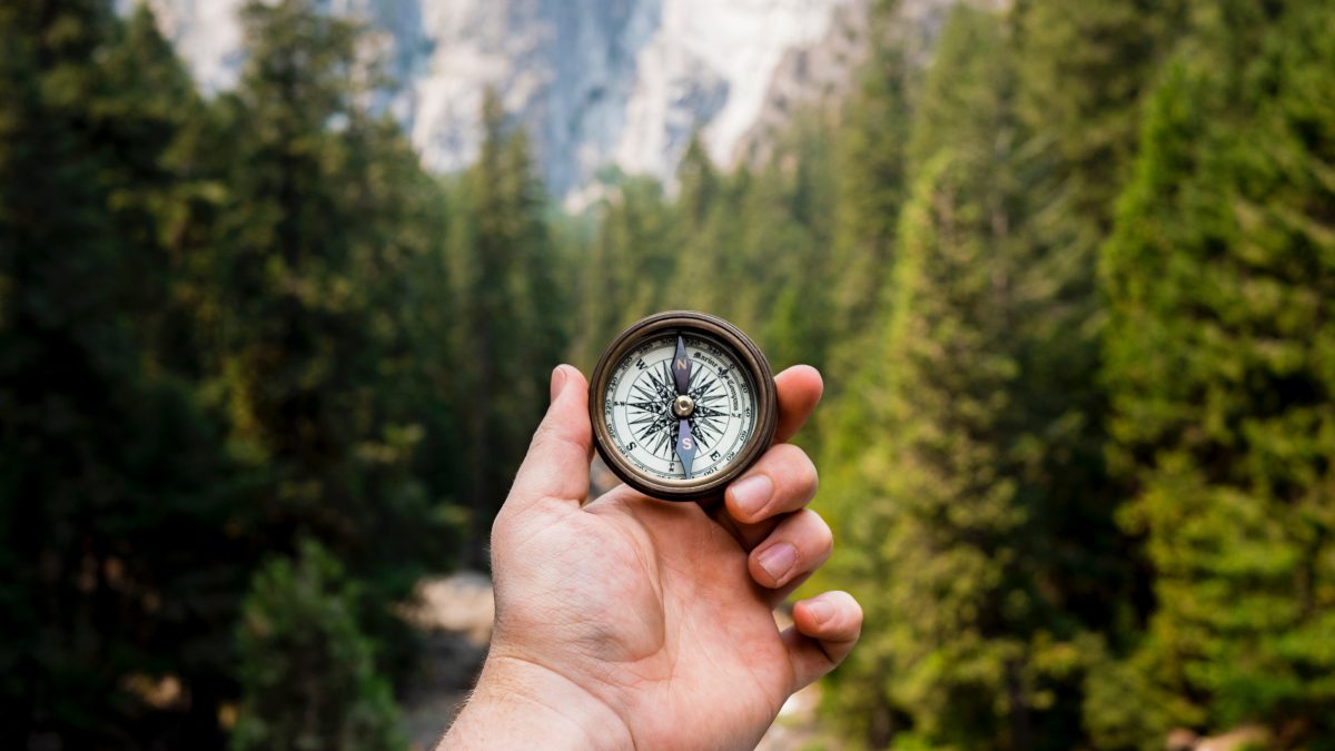 person holding compass facing towards green pine trees