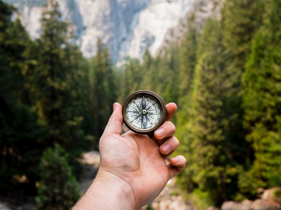 person holding compass facing towards green pine trees