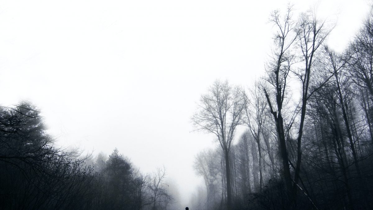 man walking on road surrounded by bare trees