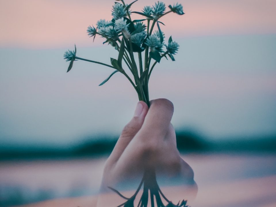 green leaf flowers