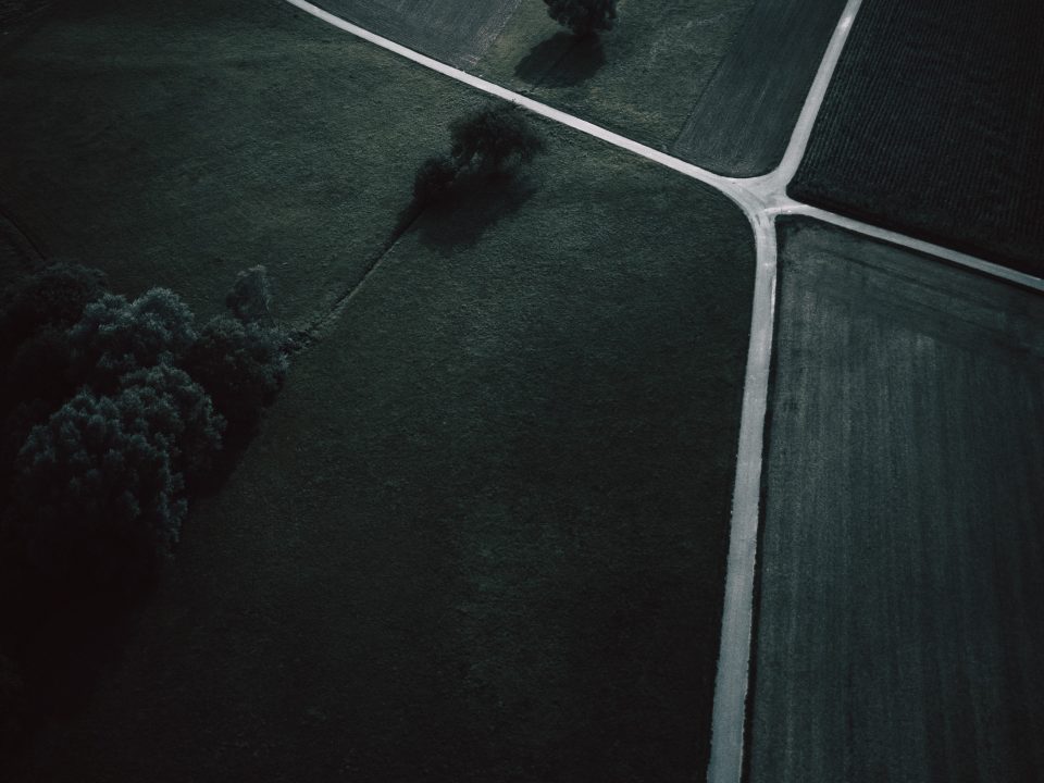 bird's eye view photo of green trees