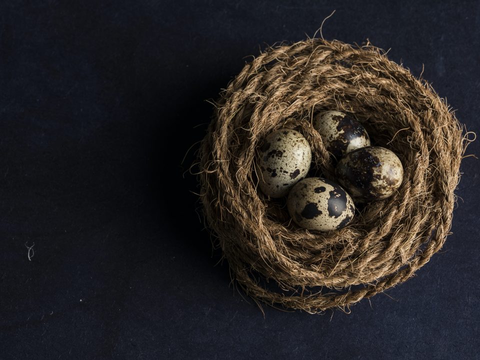 four brown and black egg close-up photography