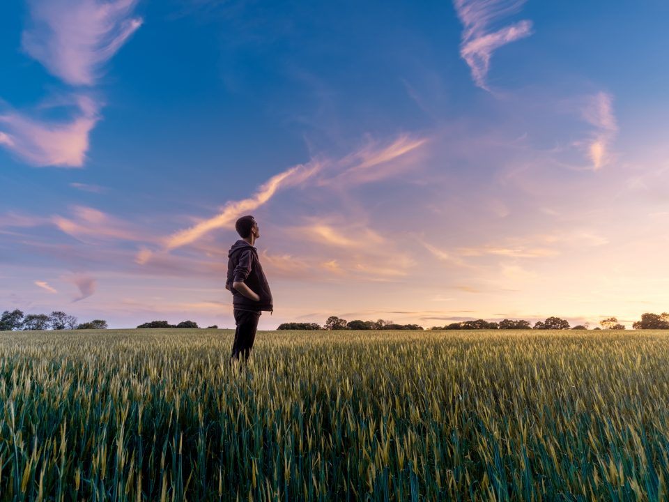 man on grass field looking at sky