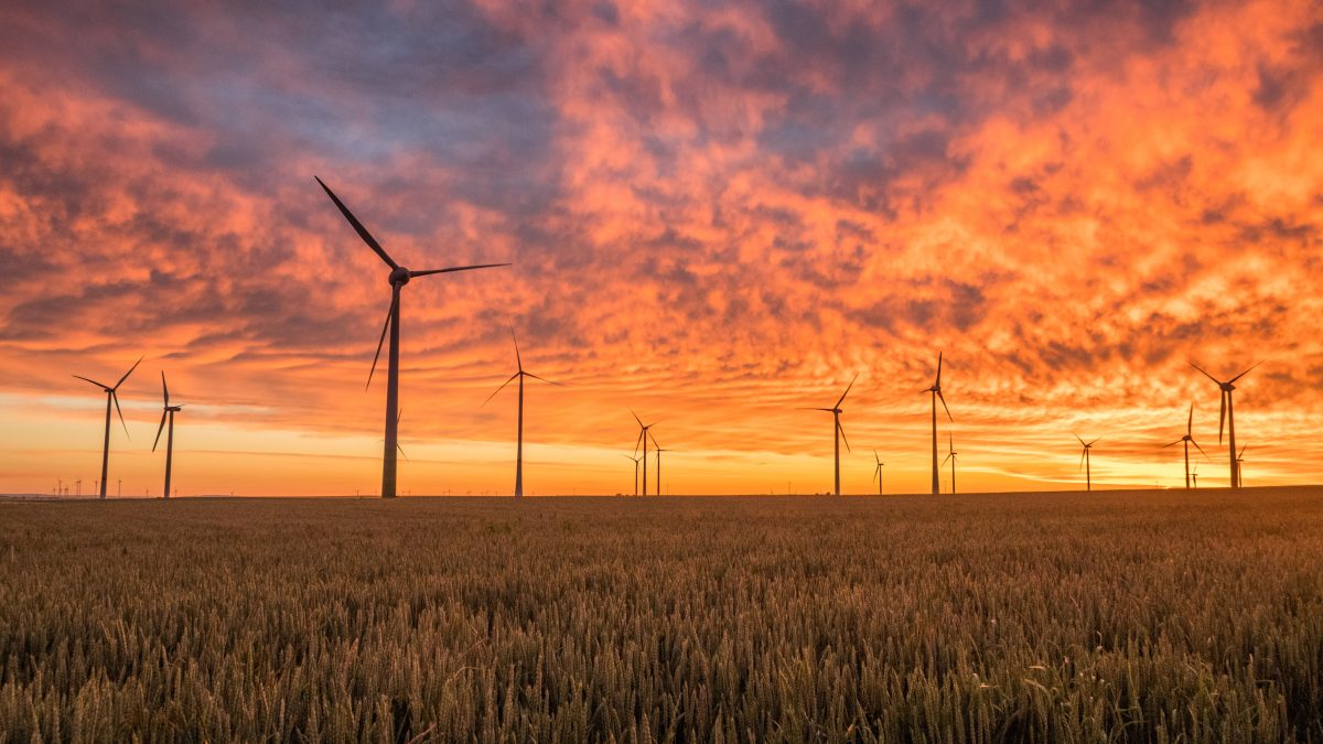 landscape photography of grass field with windmills under orange sunset