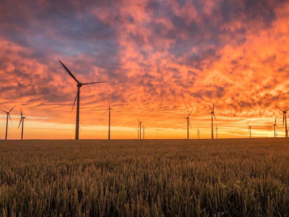 landscape photography of grass field with windmills under orange sunset