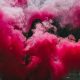 woman covered with pink smoke bomb