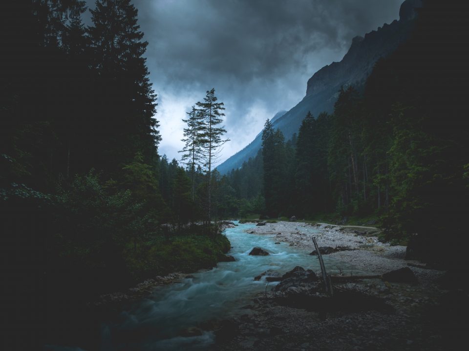 flowing river between tall trees