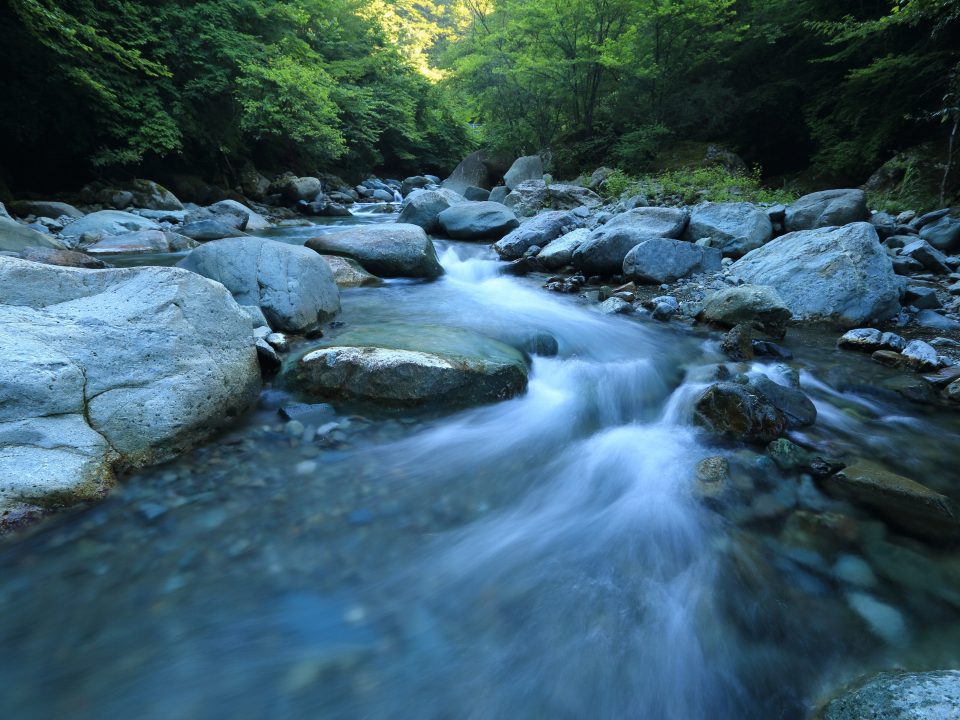 body river surrounded by dress