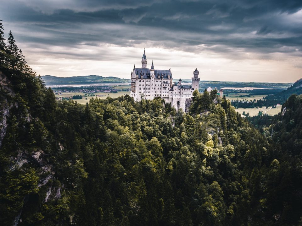 white castle with forest