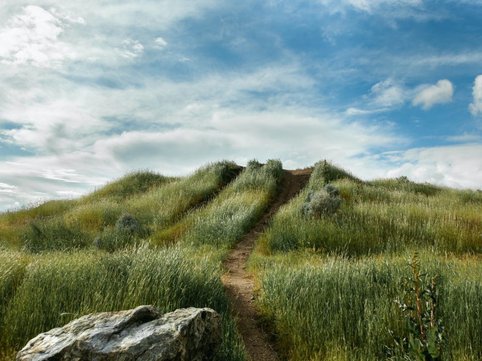 green grass field with pathway under blue sky