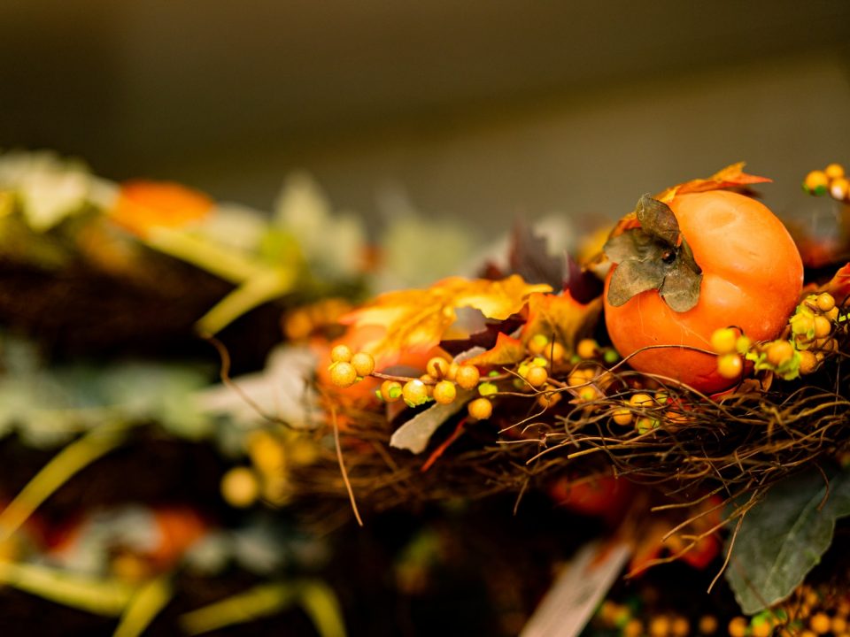 thanksgiving pumpkin and flowers