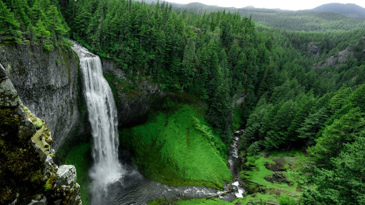 aerial photo of waterfall in middle of jugle