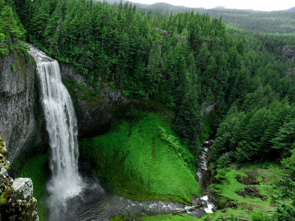 aerial photo of waterfall in middle of jugle