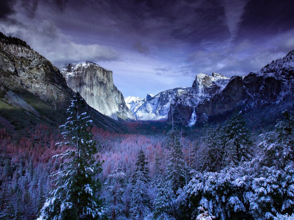 photo of mountains and trees