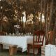 dining table and chairs set in the middle of the woods