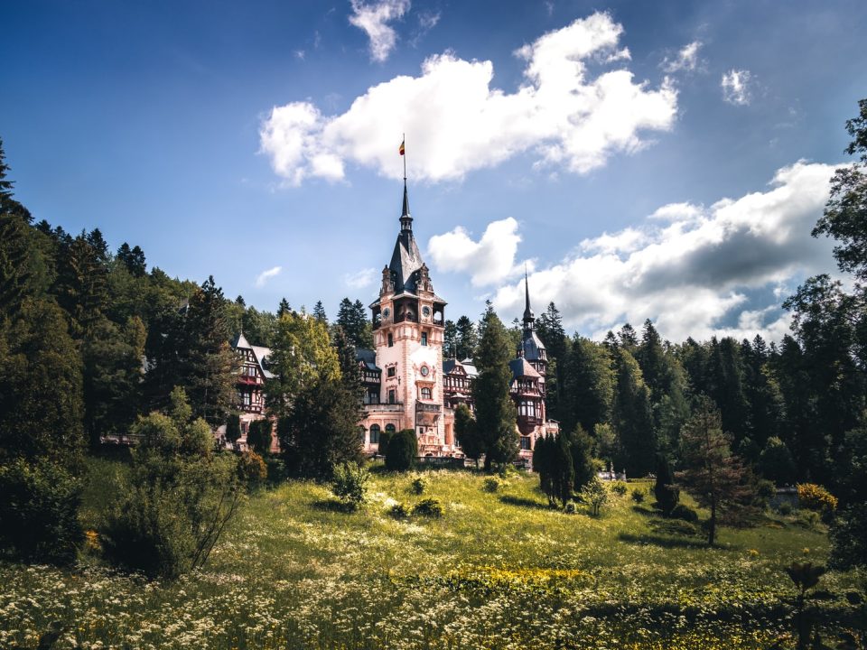 white and blue castle surrounded by green trees under blue sky during daytime