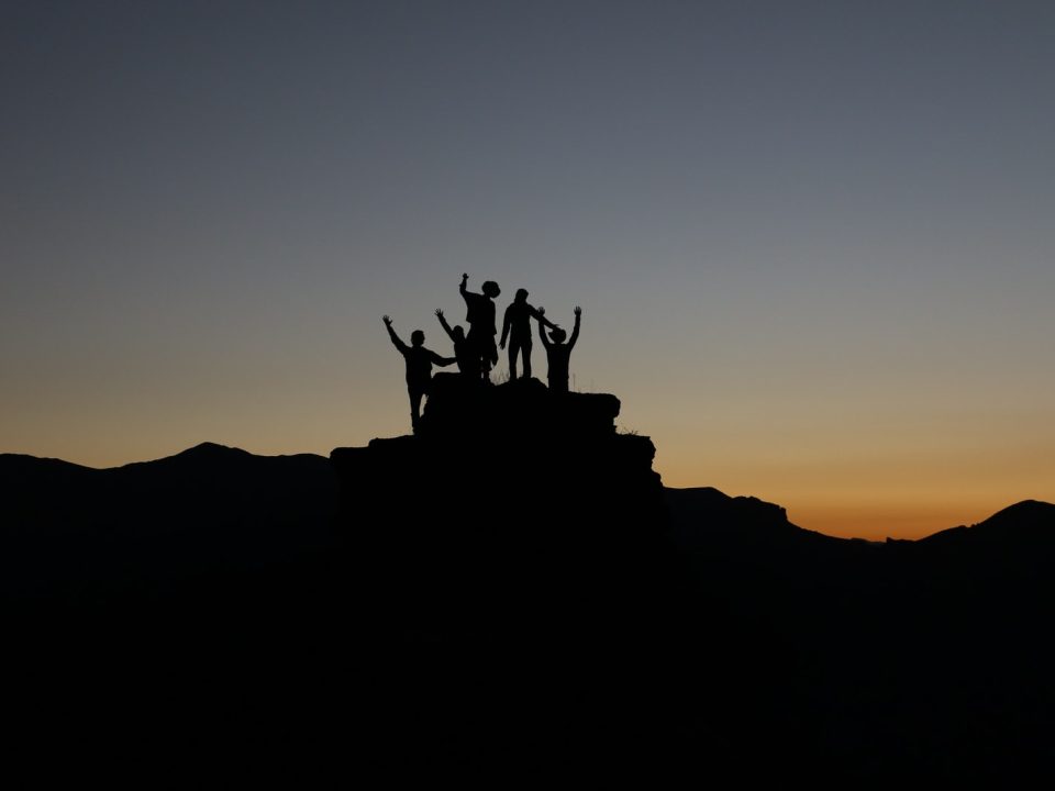 silhouette of people standing on highland during golden hours