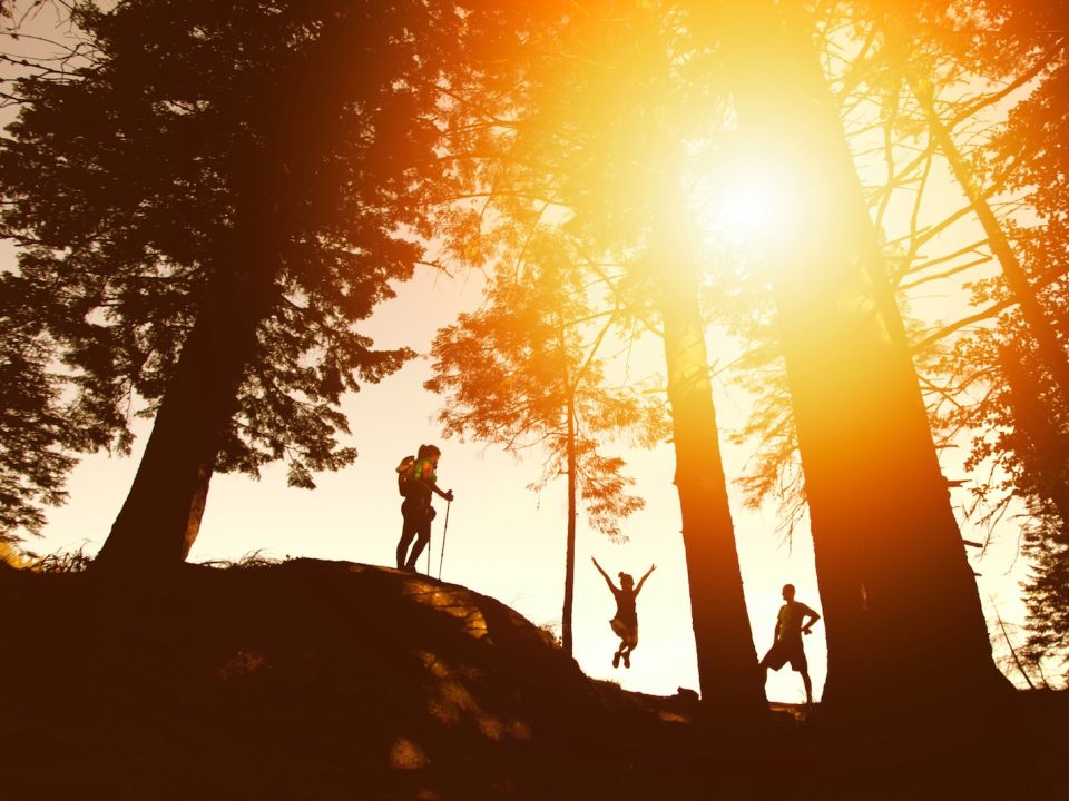 silhouette photo of three person near tall trees