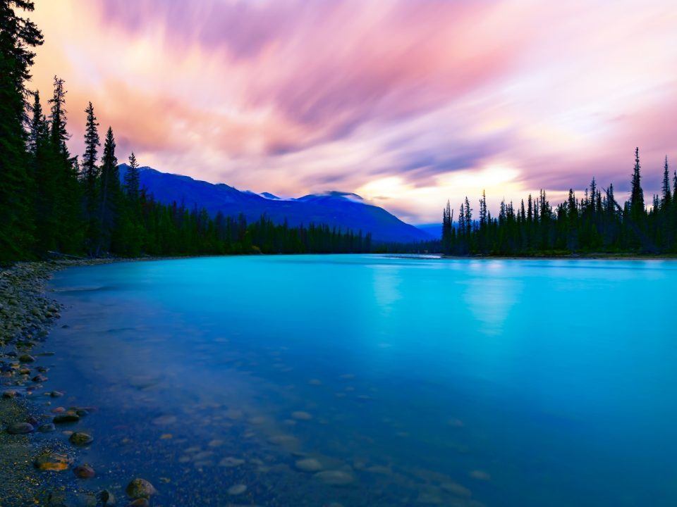 body of water near green trees under blue sky during daytime