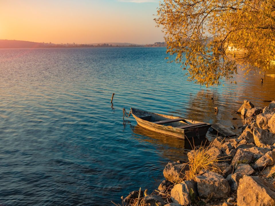 brown wooden boat on body of water during daytime