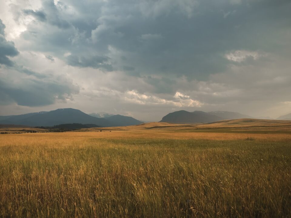 landscape photography of grass plains under cloudy sky during daytime