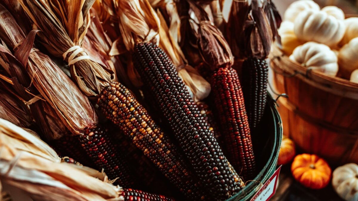 black and red corns