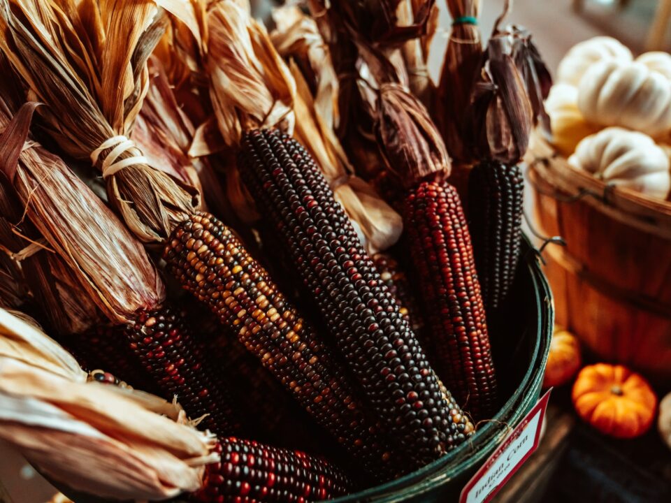 black and red corns