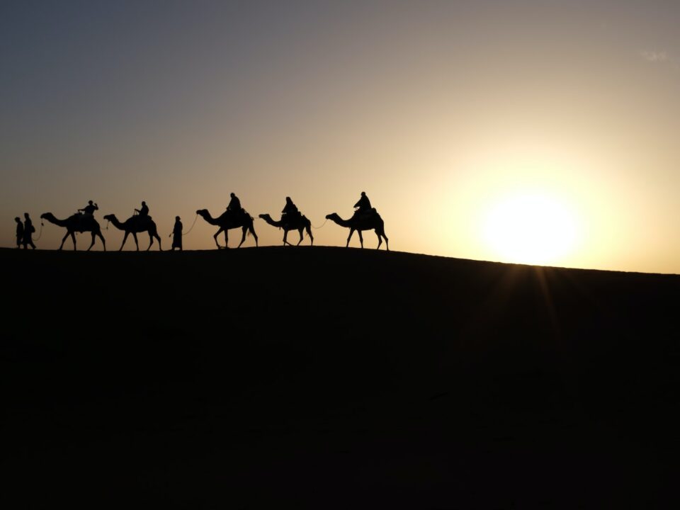 silhouette of people riding on camels
