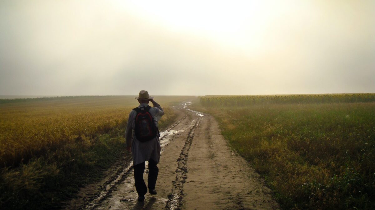 man walking in rice field