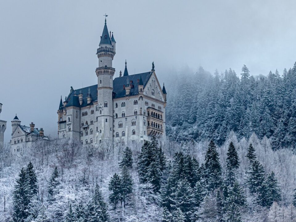 white and brown castle surrounded by trees covered with snow
