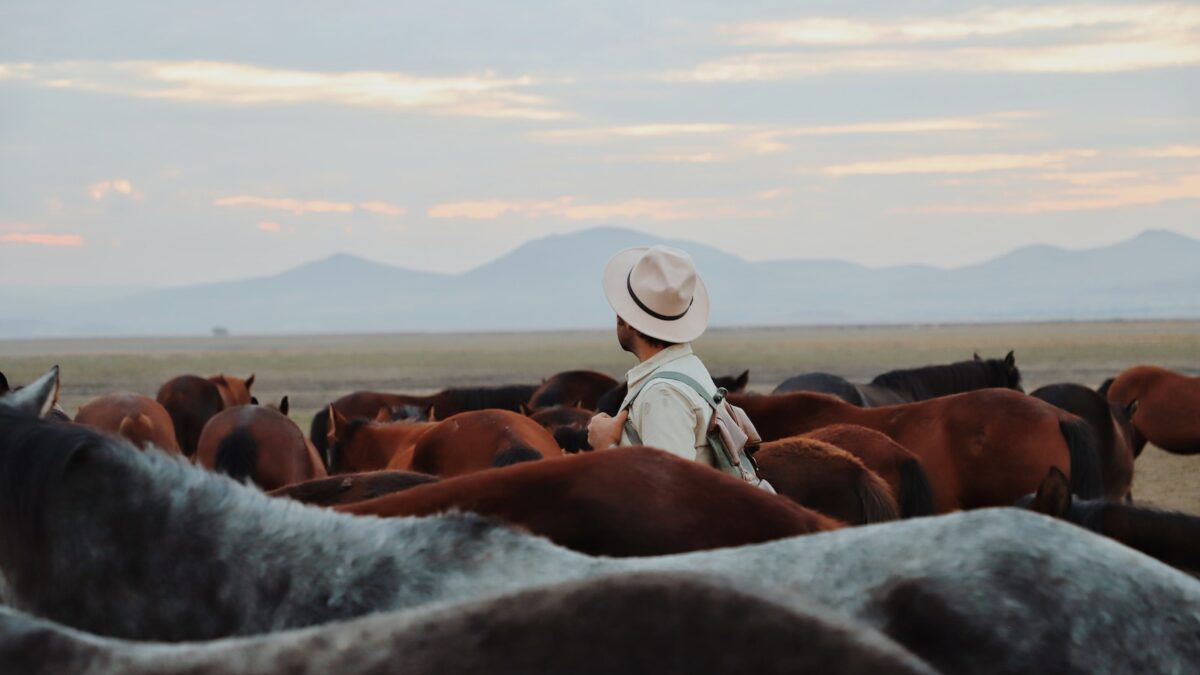 a person with a hat standing in front of a herd of horses
