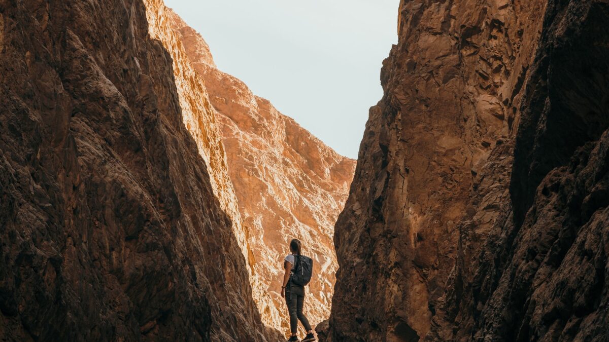 a person standing on a rock in a canyon