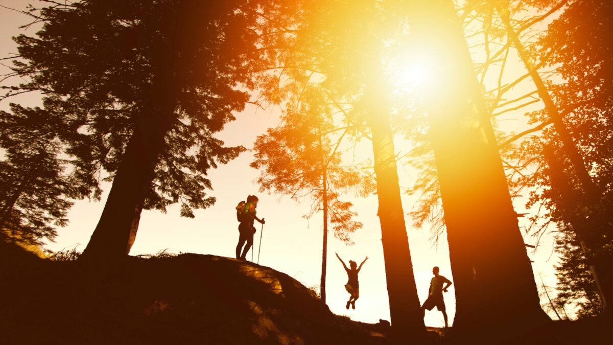 silhouette photo of three person near tall trees