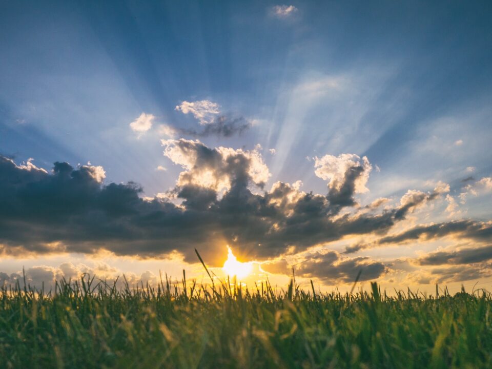 the sun is setting over a field of grass