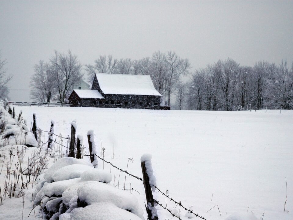 cabin in forest with snow