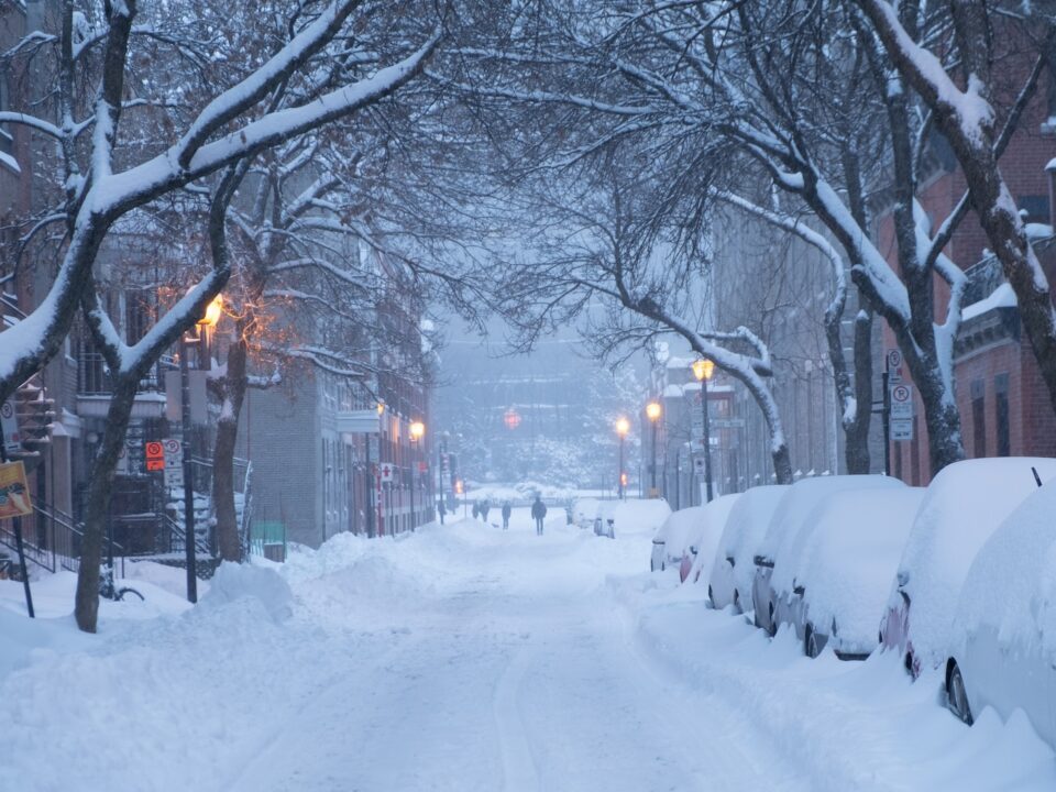 snow covers cars parked on road side