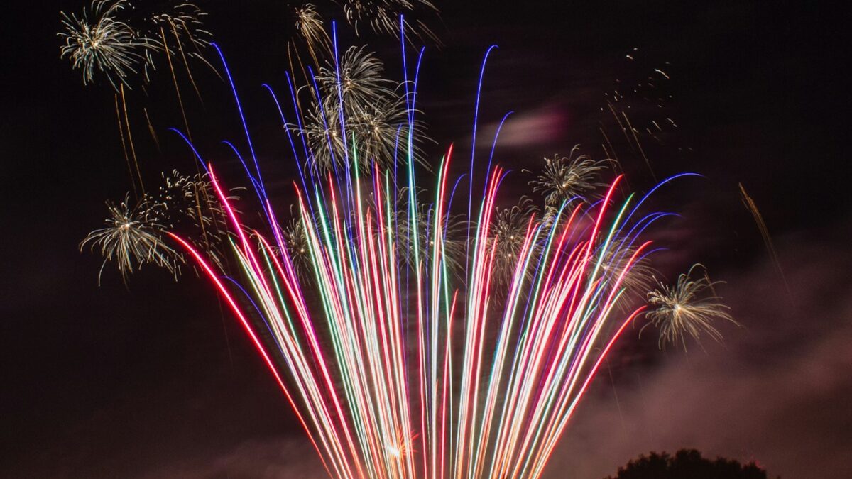 silhouette of tree under multicolored fireworks