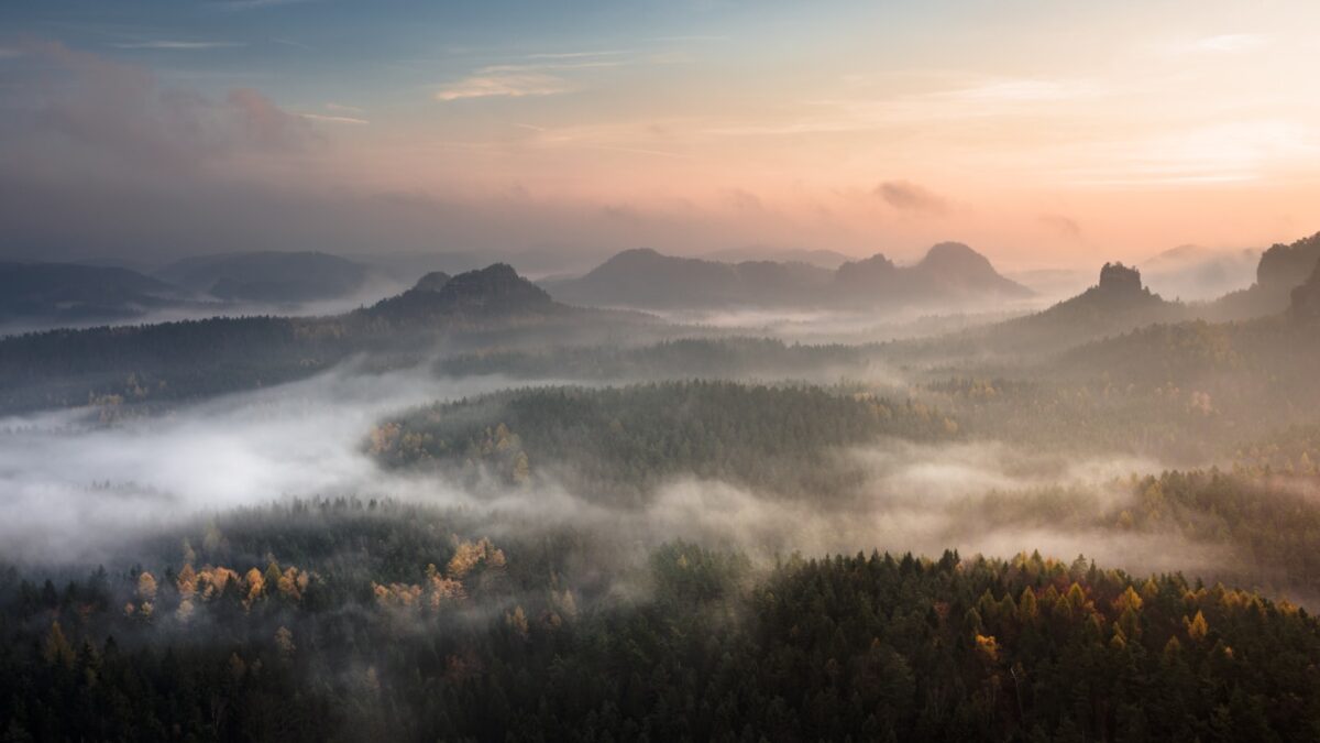 mountain surrounded with fog