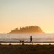 silhouette of person in front of dog walking at seashore near island during sunset