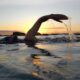 person swimming on body of water