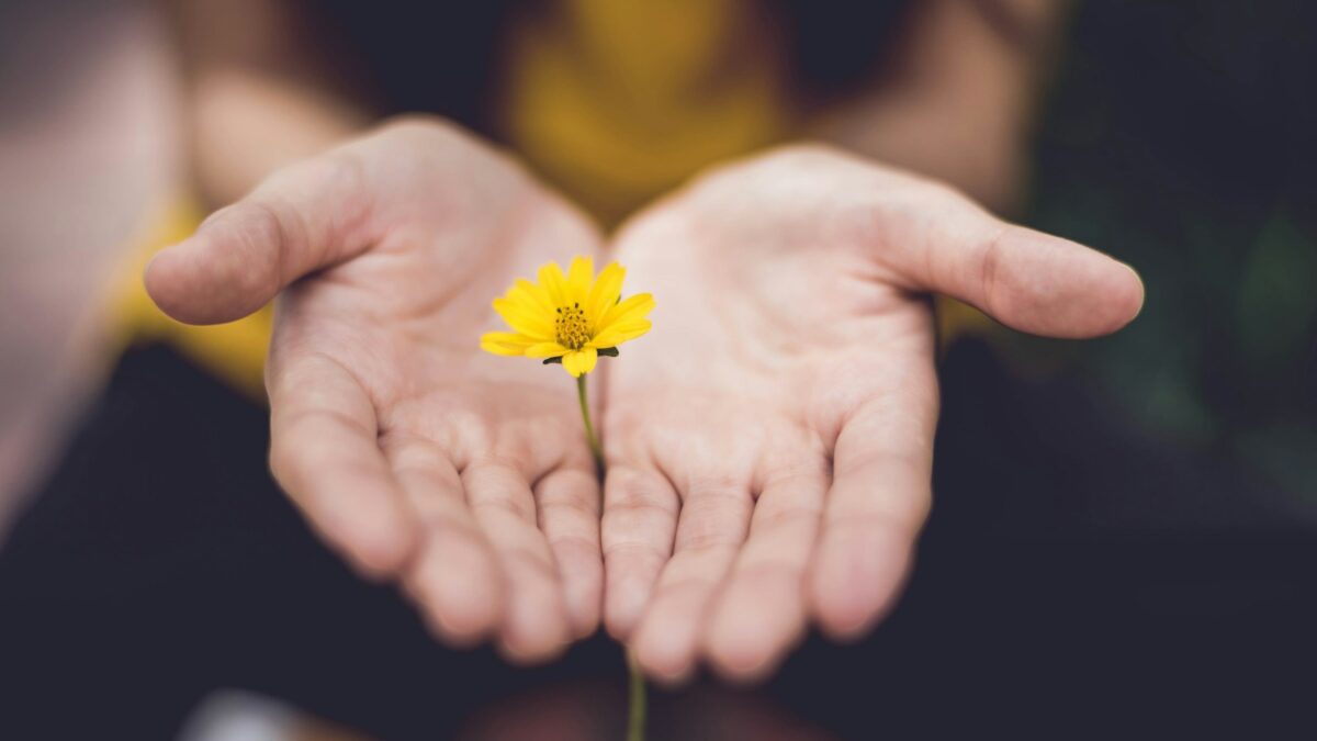 selective focus photography of woman holding yellow petaled flowers