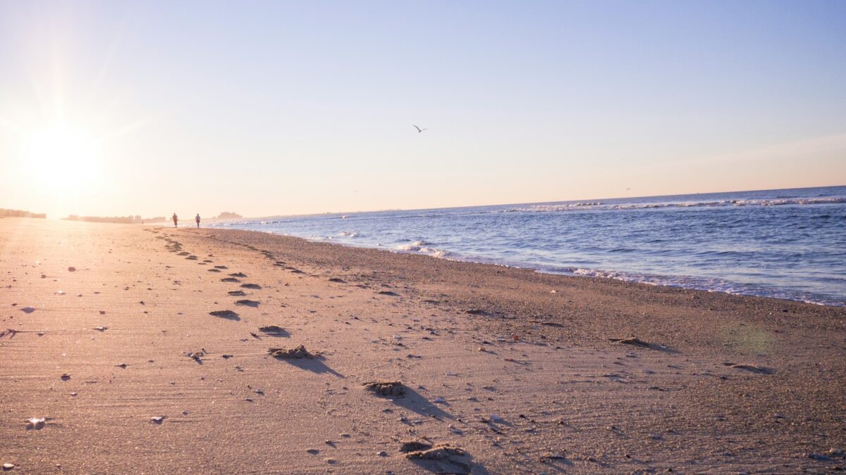 two person walking on brown sands