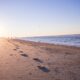 two person walking on brown sands