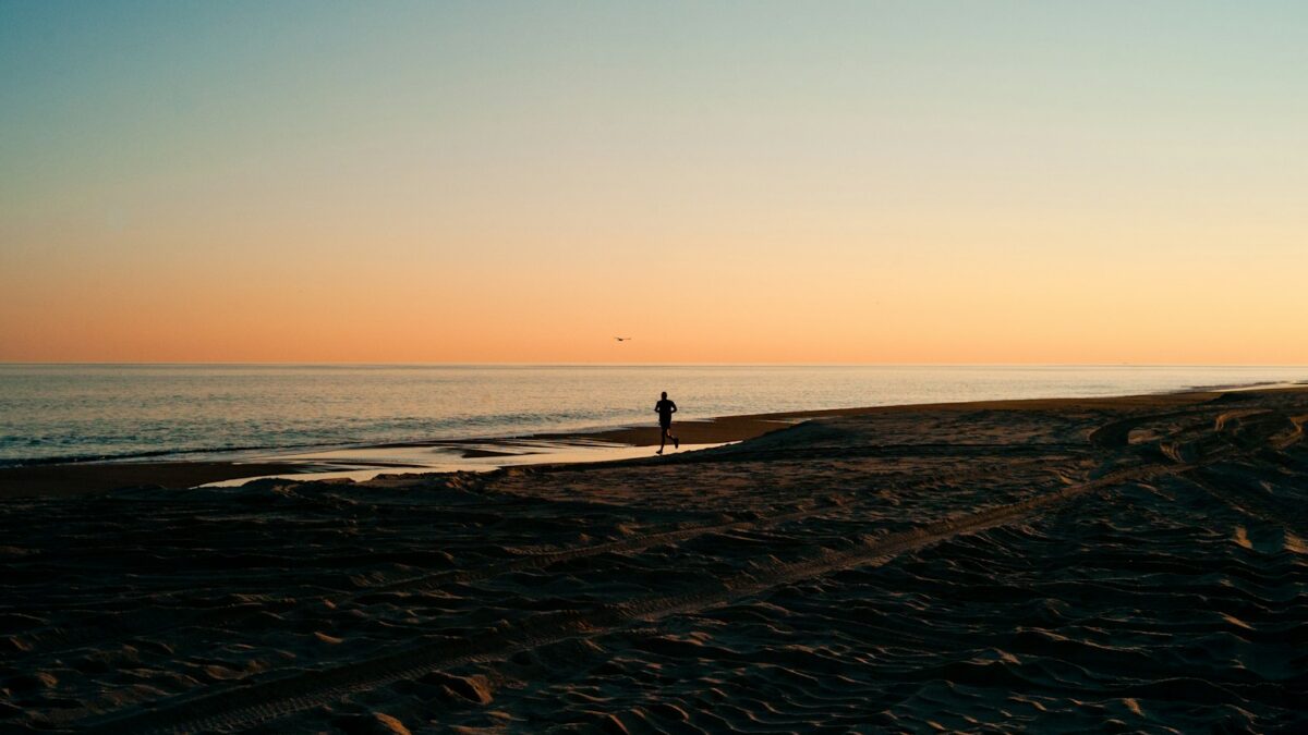 person on seashore during golden hour