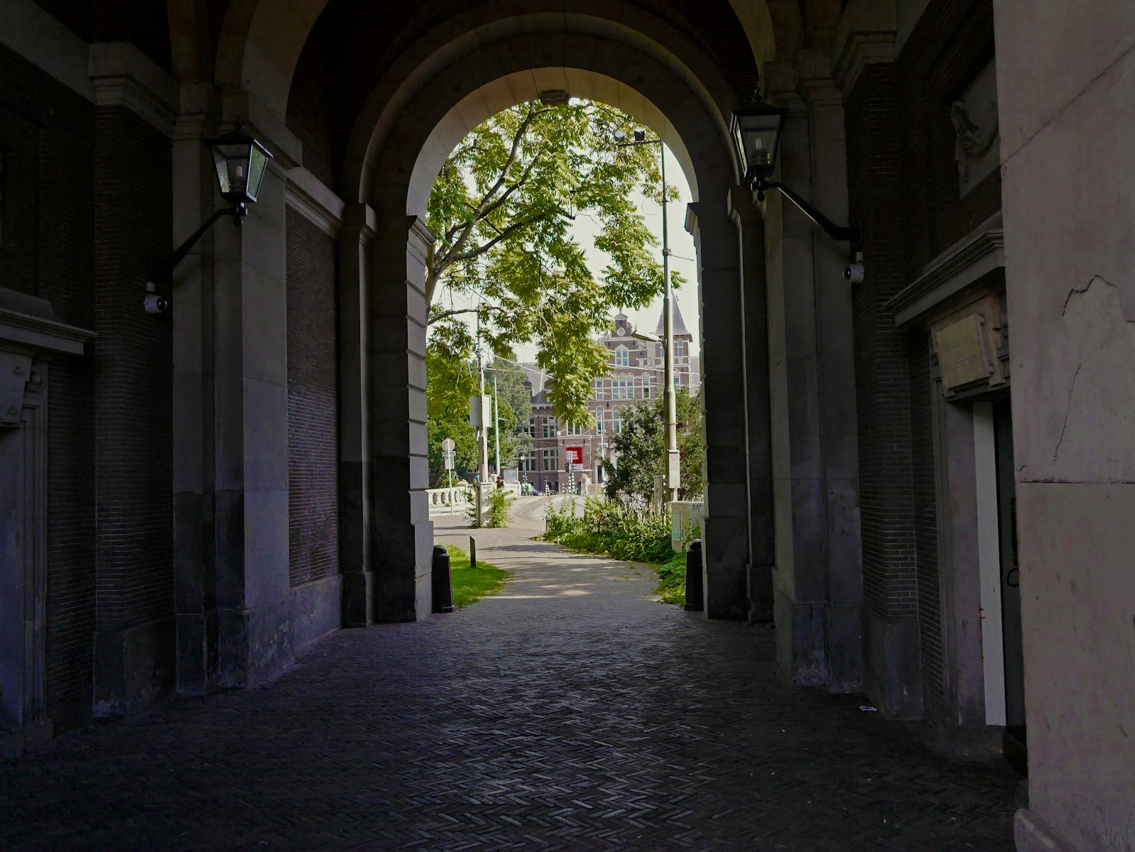 gray concrete pathway between green trees during daytime