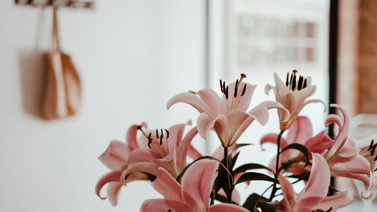 a vase filled with pink flowers on top of a table